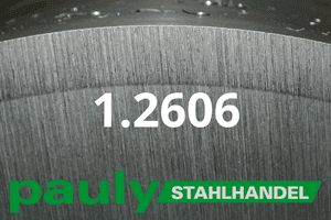 Stahl Werkstoff-Nr.: 1.2606 Datenblatt