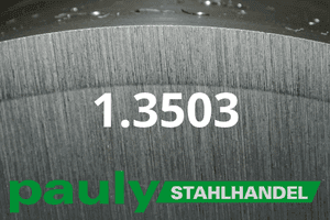 Stahl Werkstoff-Nr.: 1.3503 Datenblatt
